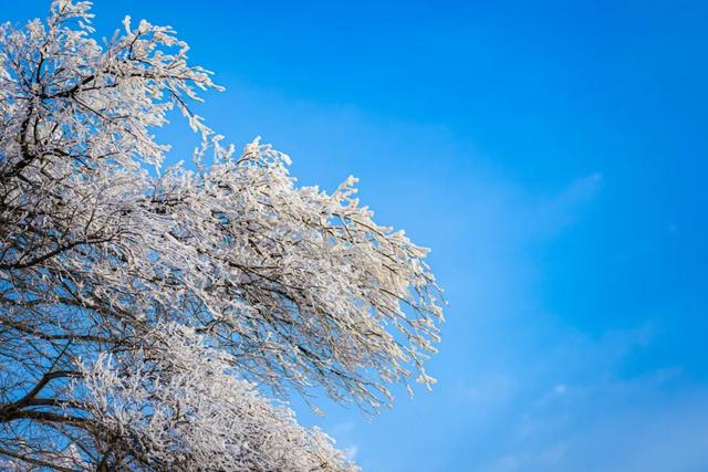 @南方小土豆！白云山免票福利来啦！邀你一起来看雪！