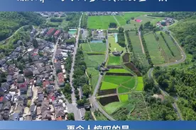 走进“长三角的阿勒泰”图片