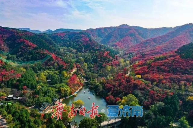 层林尽染！济南红叶谷进入最佳观赏期