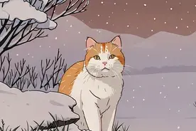 冬天养猫要知道，猫咪寒冷的5个等级，都该采取什么措施？图片
