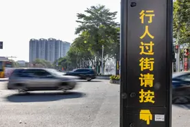 道路总里程超1900公里！广州白云主干路网基本形成图片