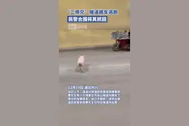 猪仔隧道跳车逃跑，民警合围将其抓回图片