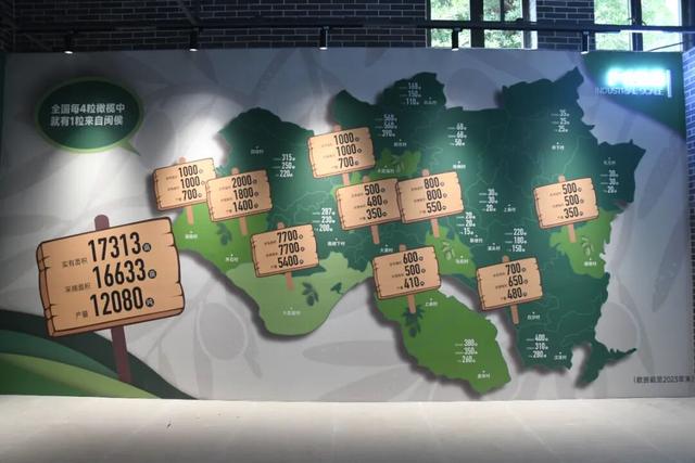 即将开门迎客！闽侯沉浸式橄榄主题馆来了