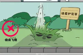 一次性马桶垫纸到底怎么用？图片