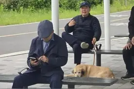 画面曝光：尹锡悦被拍到在公园“悠闲遛狗”，身边仨保镖图片