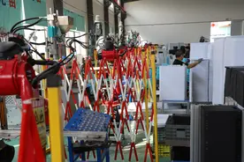 高质量发展看中国  |  一块“小菜板”闯出海外大市场图片