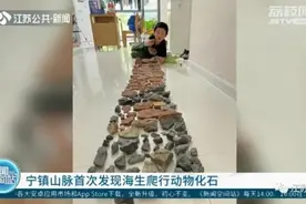 10岁男孩山里挖到神秘大石，得知来历后全家凌晨赶回原地！图片