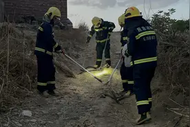 攀枝花消防员化身“捕蛇达人”：2个半小时连抓3条眼镜王蛇，其中一条重达15斤图片