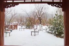 2024年第一场雪，药山公园画廊如诗如画图片