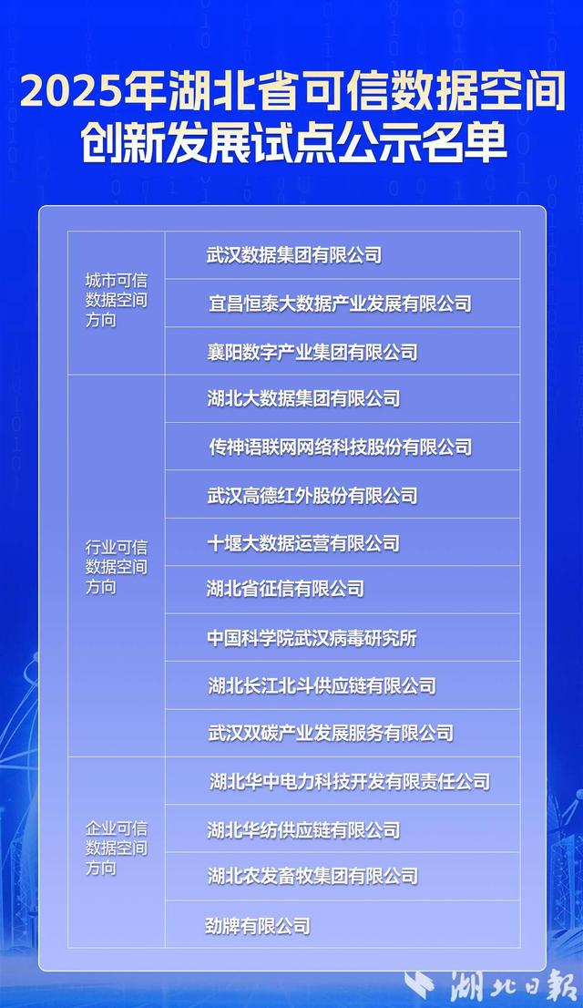 湖北省可信数据空间发展联盟成立 公示15个省级可信数据空间创新发展试点