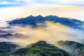 我们这十年｜美德山东 重在深耕图片