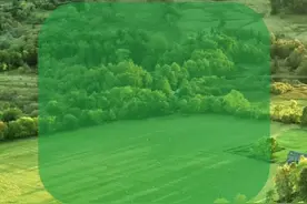 深读｜村支书，能兼职董事长吗？图片