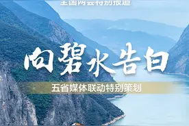 向碧水告白 | 一只天鹅的感谢信：爱比春天更早到来图片