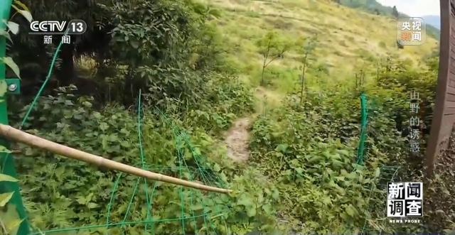 户外探险事故频发 如何规范管理“越界”行为？