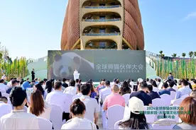 “大熊猫文化创意大赛”火热进行，集聚全球智慧共建全球大熊猫文创IP高地图片