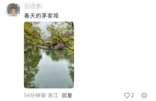 知名男星发视频狂推杭州“小众景点”！网友直呼：这里特别美！