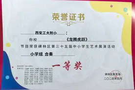 西安工大附小在2024年碑林区中小学生艺术展演活动中获佳绩图片