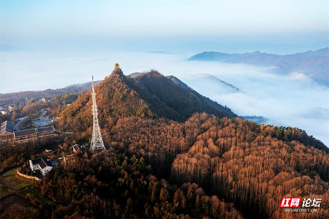 【每日一图@湖南】周末去哪儿？漫步靖州飞山云雾仙境，收藏苗侗冬日浪漫