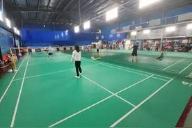 羽毛球快打不起了？鹅毛毛片去哪儿了？产业链调查图片