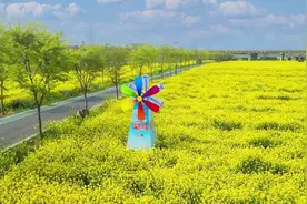 邂逅济宁③丨暖暖远人村 依依故乡情图片