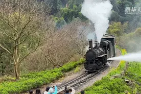 马来西亚首批免签旅游团抵达四川乐山图片