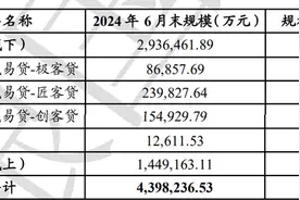 南银法巴消金发行新一期ABS，线下自营业务占比近七成｜大鱼财经图片