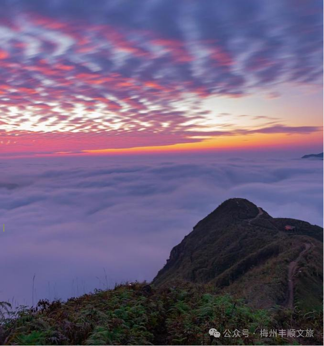 又火了！丰顺铜鼓峰“四大”景观，到底有多美？