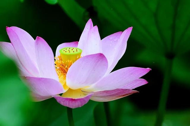 网络中国节·七夕丨属于沛县的专属浪漫记忆……