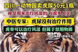 四川一动物园卖虎尿50元1瓶，中医专家：虎尿没有治疗作用，虎骨可以治疗风湿，但属于禁用物质图片