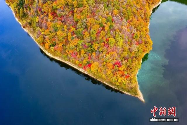 央媒看白山 | 中国新闻网：吉林白山 秋染白山湖风景区 彩林宛如大自然的调色盘