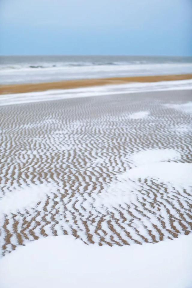 雪后的日照，美成水墨画！附最新闭园公告！