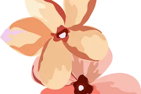 青岛国际会议中心｜易象画展与大师课堂——“易象美学·艺术沙龙讲座”倒计时1天！图片