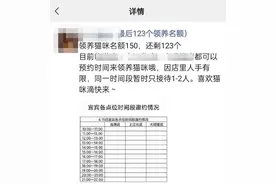 宠物店“免费领养猫咪”藏套路：领养人须签协议购买两年猫粮等 被认定变相销售图片