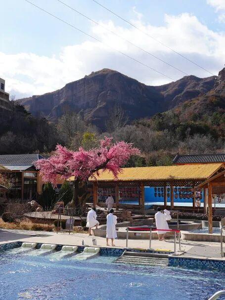 初冬的第一份暖意，藏在唐家湾里