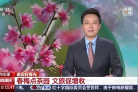 邂逅好春光 安徽黄山 一江碧水如镜 两岸春光似画图片