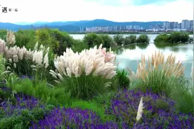 【开屏早知道】明确了！免费！图片