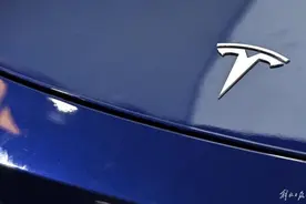 “夸张！买特斯拉要刷卡排队？”什么情况图片