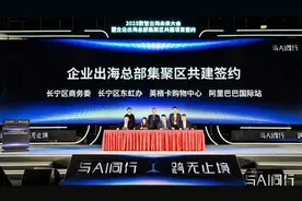 AI重构外贸格局？已有10万中小企业借阿里“数智跳板”出海破浪图片