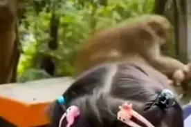 女孩在广东一景区与猴子合照，突然被拽住胳膊狠咬！工作人员回应图片