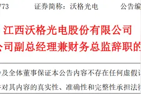 江西沃格光电股份有限公司副总经理、财务总监汪科辞职图片