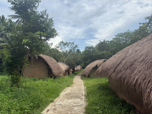 新华社关注海南环热旅游公路：雨林深处的生态文化长廊