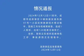 成都一小区拆除水塔时吊车机械臂断裂致一人死亡图片