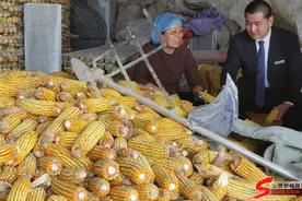 曲沃农商银行安居支行创新服务模式助力乡村振兴图片