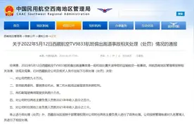 西藏航空一客机在重庆机场偏出跑道起火，民航西南局通报相关处理情况图片