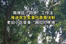 南岸老旧小区变身“网红打卡地” 民生实事代表票决制起作用图片