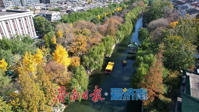 一年四季 泉在济南丨济南护城河初冬景如画 游人打卡赏斑斓