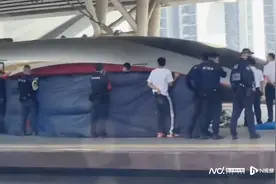 虎门高铁站一男子跳轨，已无生命体征，事件导致部分列车晚点图片