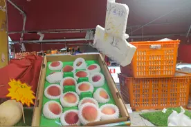 “不要捏”，成都早熟水蜜桃姗姗来迟！专家：预计6月上旬大量上市图片