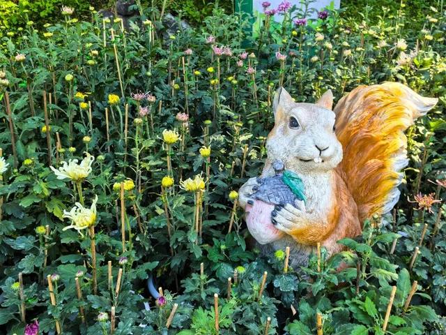 这场秋菊盛会，描绘着福建的千年风雅