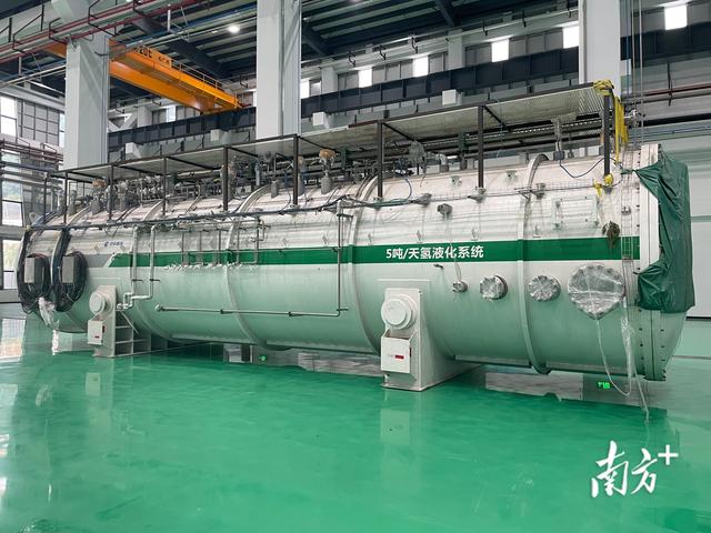 点解花胶煮热变成一小 2026年花胶煮化了什么原因